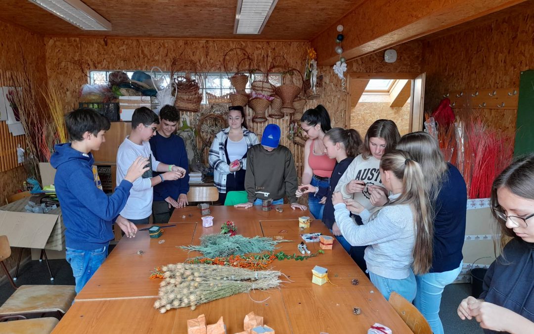 Szakmai programok az Entzben, Velencén