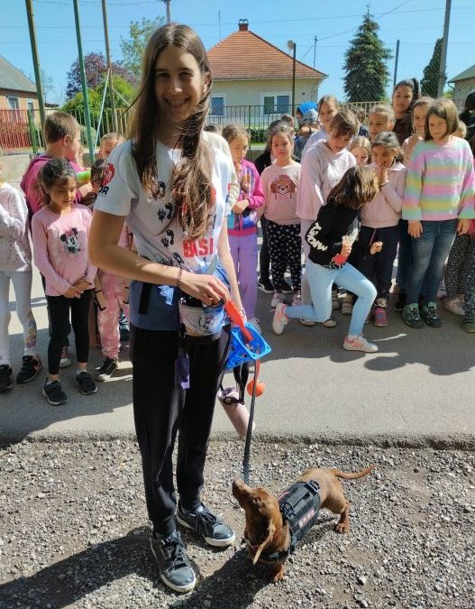 Kutyás bemutató