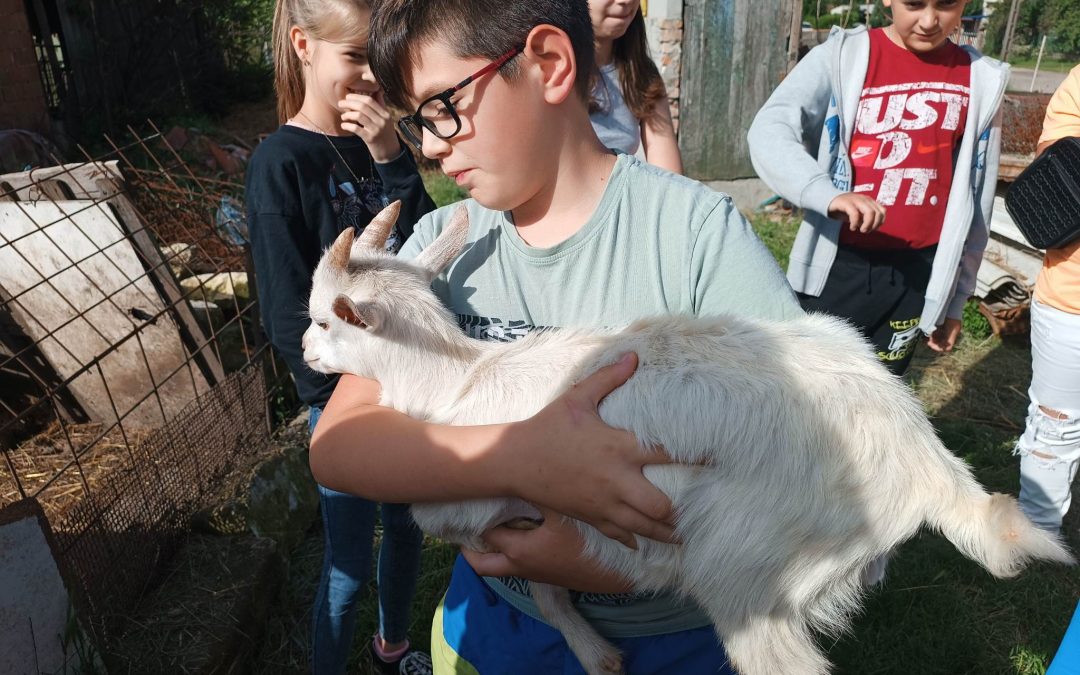 Látogatóban az 5. b