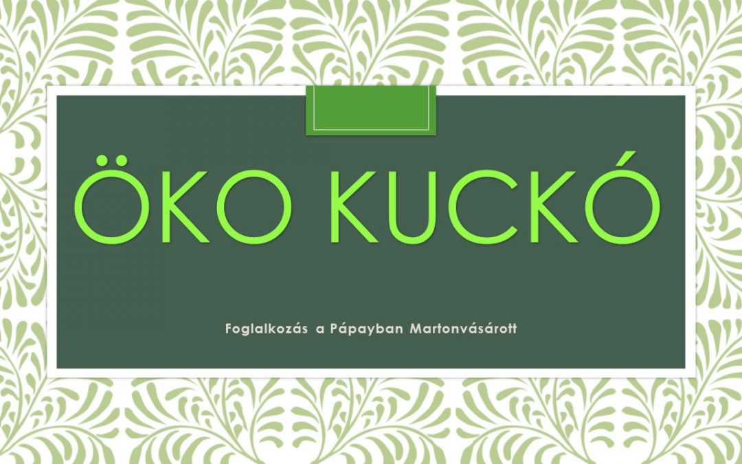 Öko kuckó foglalkozás