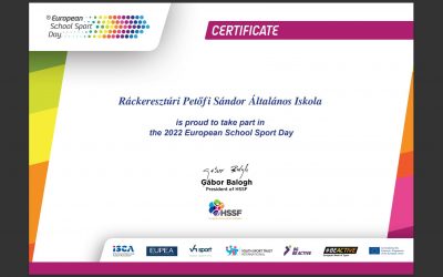 European School Sport Day Certificate
